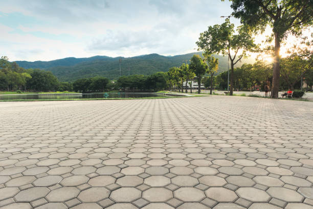 Best Driveway Paver Sealing  in Blair, WI